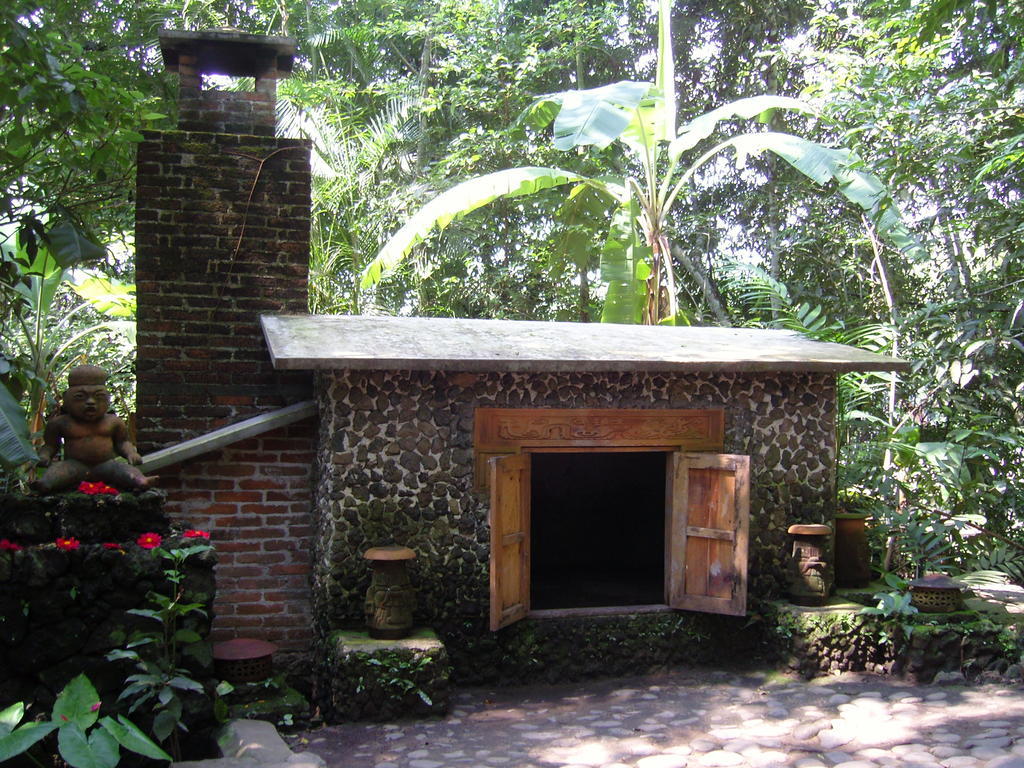 Reserva Ecologica Nanciyaga Catemaco Ngoại thất bức ảnh