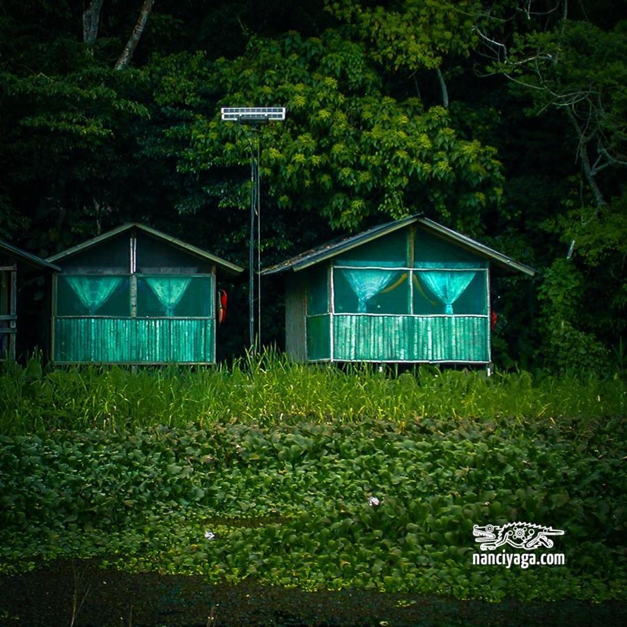 Reserva Ecologica Nanciyaga Catemaco Ngoại thất bức ảnh