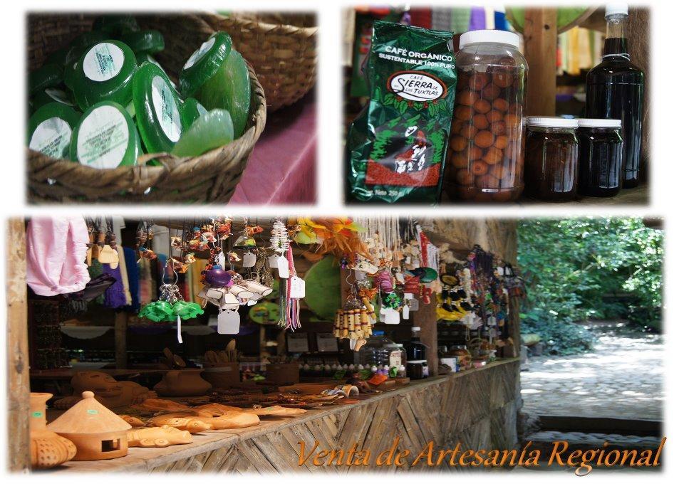 Reserva Ecologica Nanciyaga Catemaco Ngoại thất bức ảnh