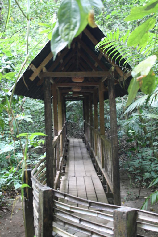 Reserva Ecologica Nanciyaga Catemaco Ngoại thất bức ảnh