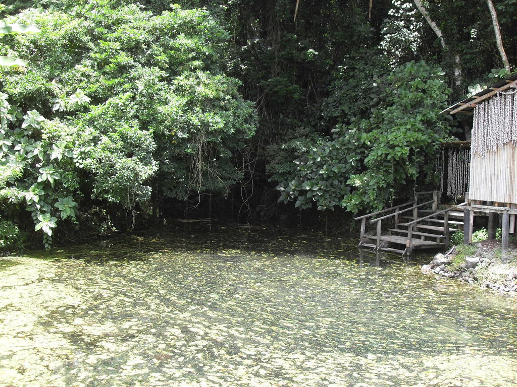 Reserva Ecologica Nanciyaga Catemaco Ngoại thất bức ảnh