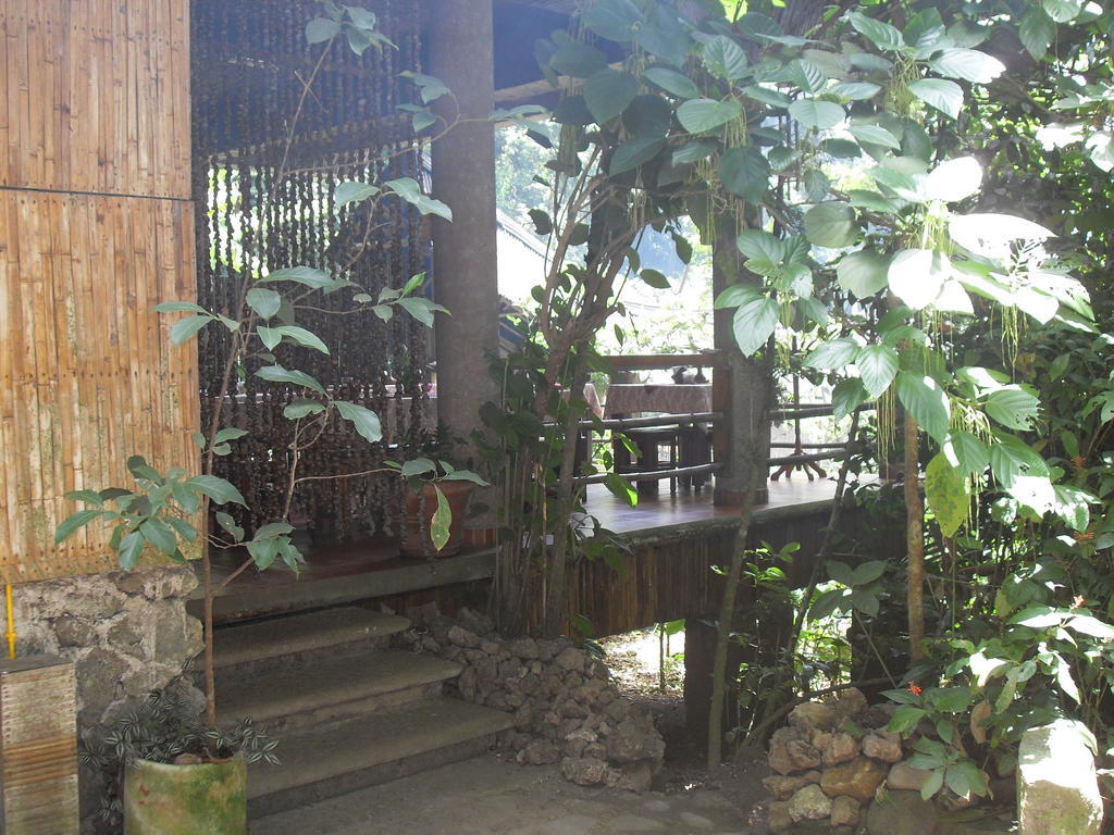 Reserva Ecologica Nanciyaga Catemaco Ngoại thất bức ảnh