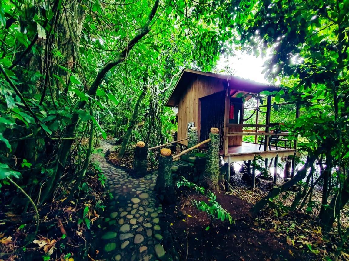 Reserva Ecologica Nanciyaga Catemaco Ngoại thất bức ảnh
